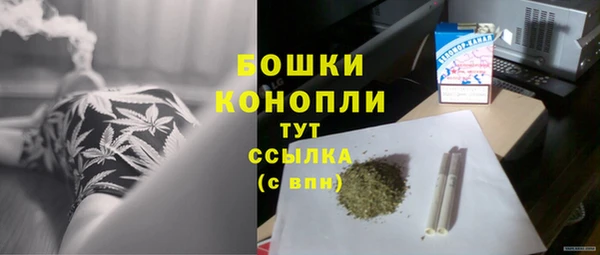 МДПВ Богородск