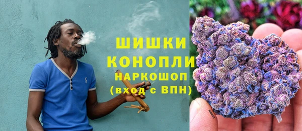 МДПВ Богородск