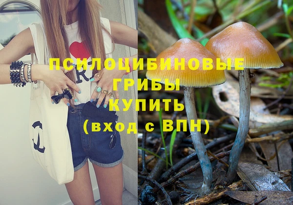 кокаин Бородино