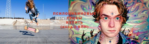mix Богородицк