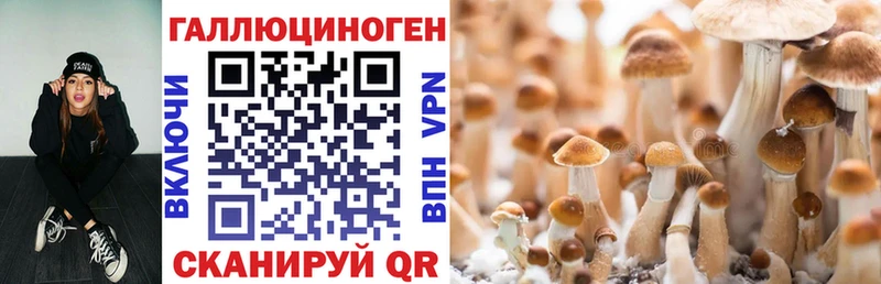 Галлюциногенные грибы GOLDEN TEACHER  Белозерск 